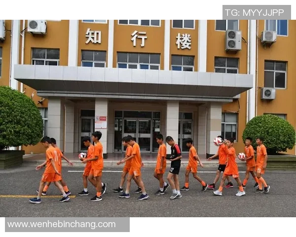 热爱足球明星的魅力与激情，追逐梦想的青春岁月